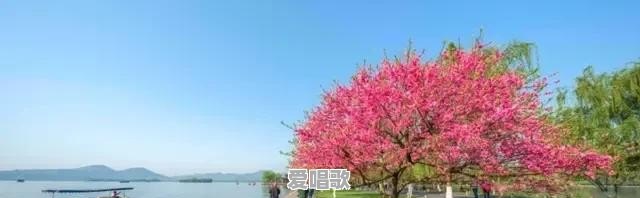 你坐火车或者长途列车的时候，遇到过哪些刺激和难忘的事情 - 爱唱歌
