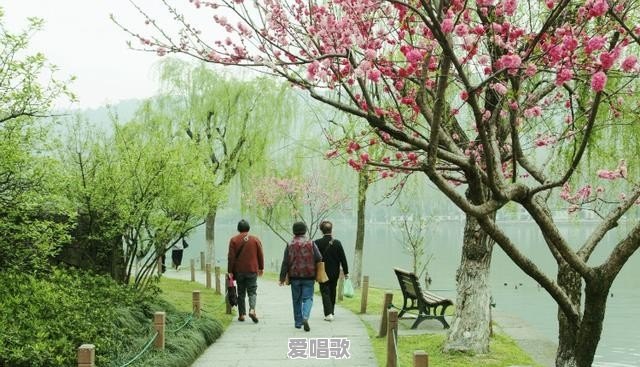 你坐火车或者长途列车的时候，遇到过哪些刺激和难忘的事情 - 爱唱歌