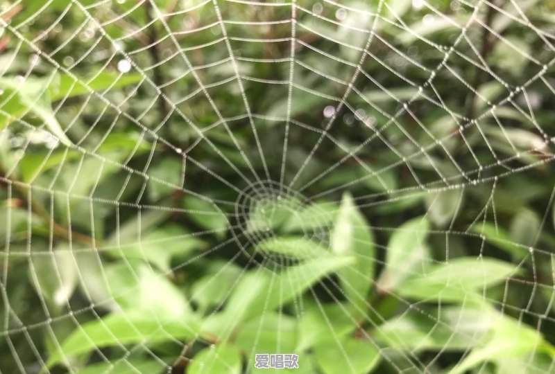 天天在朋友圈晒自拍照的人是什么心理 天天在朋友圈晒自拍照的人是什么心理 - 爱唱歌