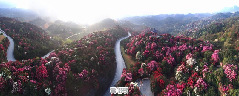 贵州省十大旅游区,你知道的有哪些 贵州省十大旅游区,你知道的有哪些 - 爱唱歌