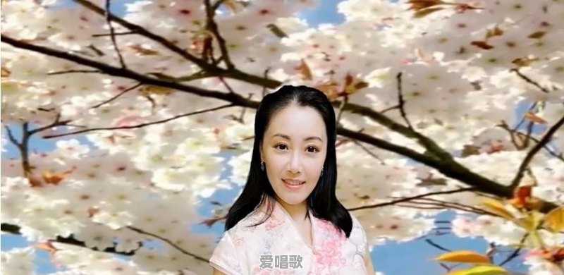 有些经典歌曲为什么有那么多的人喜欢 - 爱唱歌