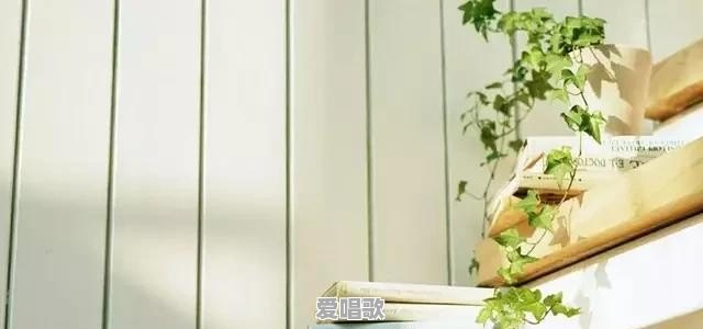 众多文学体裁中,你最喜欢哪一种 众多文学体裁中,你最喜欢哪一种 - 爱唱歌