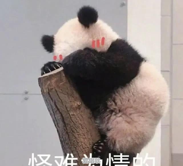 大家都有哪些童年趣事 大家都有哪些童年趣事 - 爱唱歌