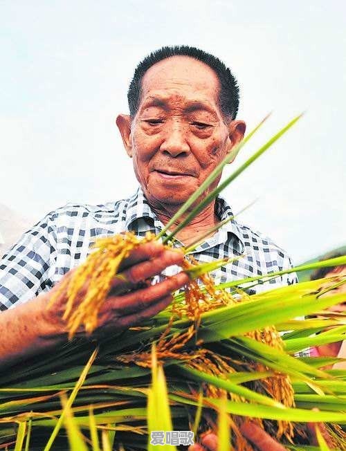 大家都有哪些童年趣事 大家都有哪些童年趣事 - 爱唱歌