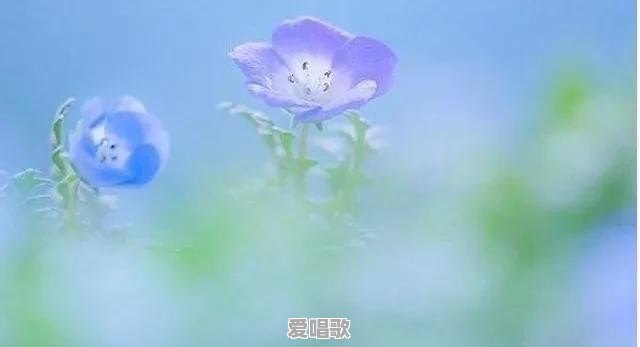 你知道有哪些精致的反驳其他人的句子 你知道有哪些精致的反驳其他人的句子 - 爱唱歌