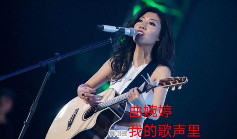 有哪些翻唱外国歌的中文歌 - 爱唱歌