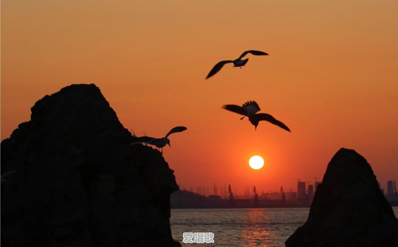 你手机里有海边的、民宿的美照吗，可以分享吗 - 爱唱歌