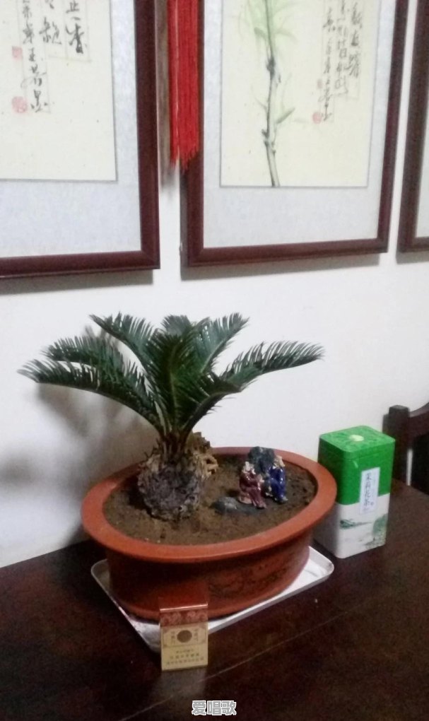 当一个人感觉到孤独的时候,你会做什么 当一个人感觉到孤独的时候,你会做什么 - 爱唱歌