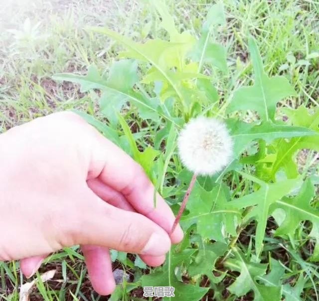 现在有哪些年轻的粤语歌手？有哪些粤语新歌 - 爱唱歌