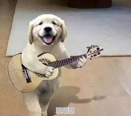 吉他和钢琴演奏的流行歌曲 吉他和钢琴演奏的流行歌曲 - 爱唱歌