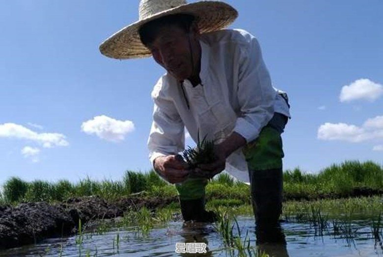 年轻夫妻丧子有多痛苦 年轻夫妻丧子有多痛苦 - 爱唱歌