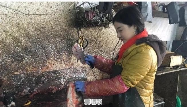 合肥95后妹子苏州走红,人称“卖鱼西施”,这样的网红你怎么看 合肥95后妹子苏州走红,人称“卖鱼西施”,这样的网红你怎么看 - 爱唱歌