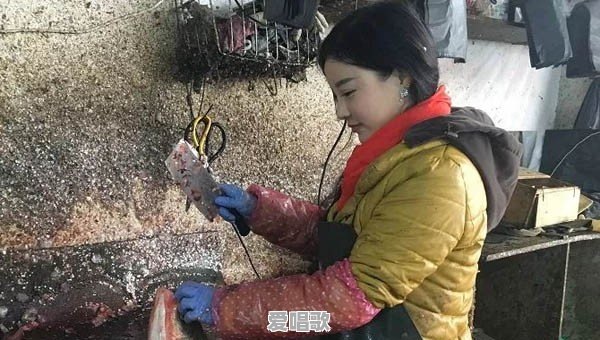 合肥95后妹子苏州走红,人称“卖鱼西施”,这样的网红你怎么看 合肥95后妹子苏州走红,人称“卖鱼西施”,这样的网红你怎么看 - 爱唱歌