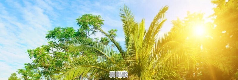 祁隆、冷漠、郑源、高安和安东阳,谁的歌好听 祁隆、冷漠、郑源、高安和安东阳,谁的歌好听 - 爱唱歌