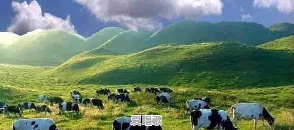 网络歌曲火红的萨日朗原唱 网络歌曲火红的萨日朗原唱 - 爱唱歌