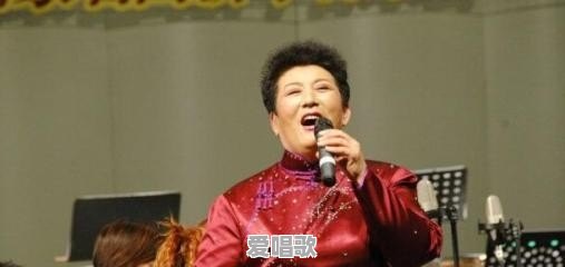 世界上有哪些有代表性的女中音流行歌手 世界上有哪些有代表性的女中音流行歌手 - 爱唱歌