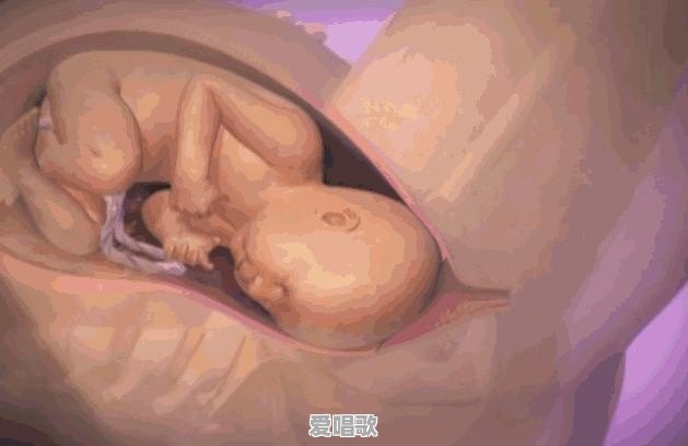 分娩时如何正确用力 分娩时如何正确用力 - 爱唱歌