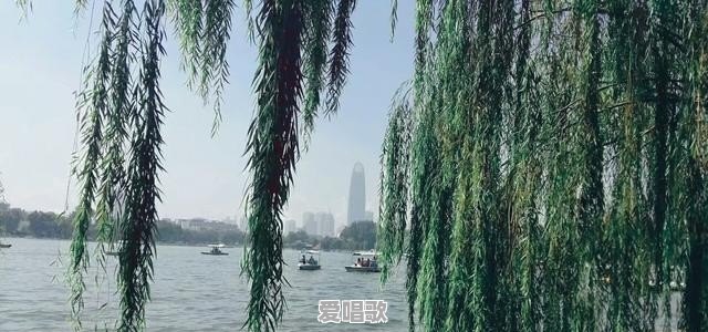 11月流行网络歌曲 11月流行网络歌曲 - 爱唱歌