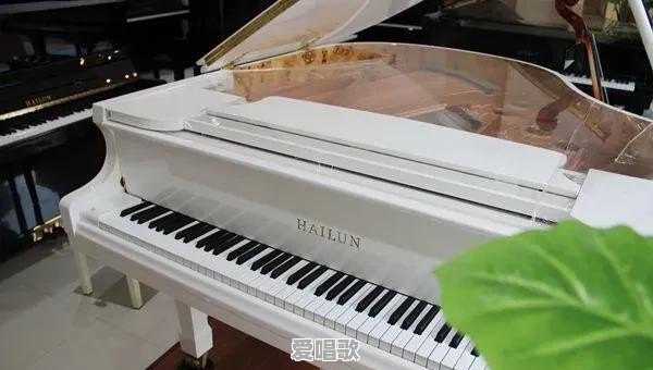 为什么国内的音乐院校鄙视流行钢琴曲 - 爱唱歌