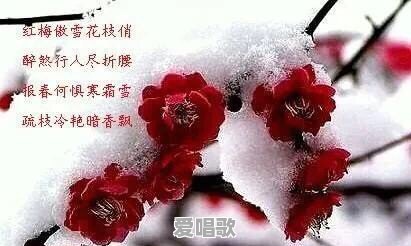 你的家乡出过哪些名人 你的家乡出过哪些名人 - 爱唱歌