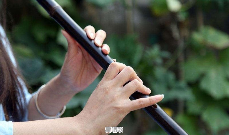 古琴、古筝、琵琶、二胡、笛箫,这几种乐器哪个更容易学习,为什么 古琴、古筝、琵琶、二胡、笛箫,这几种乐器哪个更容易学习,为什么 - 爱唱歌