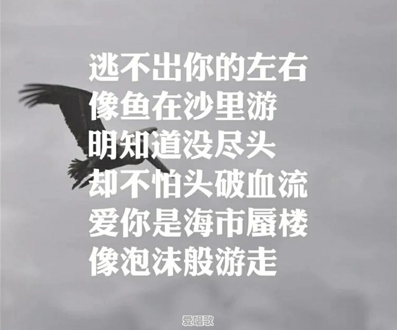 有人知道38度6的含义吗?你怎么理解 有人知道38度6的含义吗?你怎么理解 - 爱唱歌