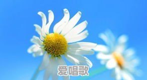 你认为林夕最美的歌词是什么 你认为林夕最美的歌词是什么 - 爱唱歌