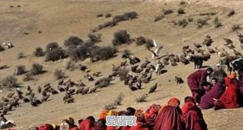 萨顶顶 万物生 歌词 - 爱唱歌