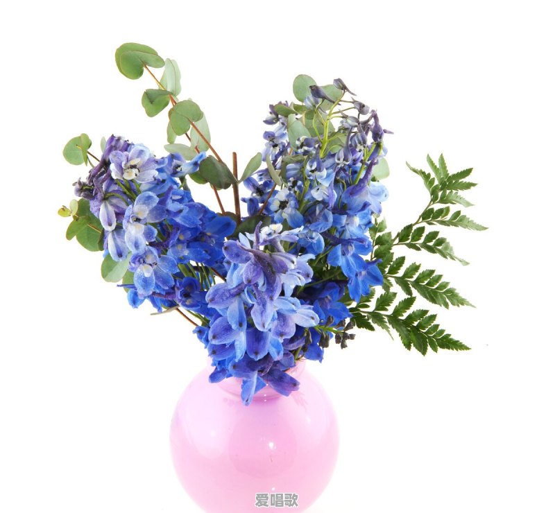 你听过哪些温柔而又动听的句子,可以分享吗 你听过哪些温柔而又动听的句子,可以分享吗 - 爱唱歌