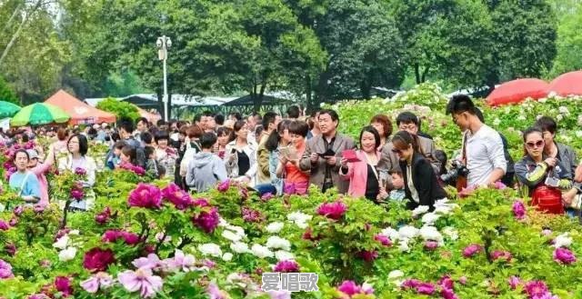 缑氏网红歌手 缑氏网红歌手 - 爱唱歌