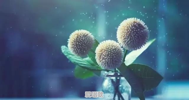 一个人特别思念另一个人,会对身体有什么危害 一个人特别思念另一个人,会对身体有什么危害 - 爱唱歌