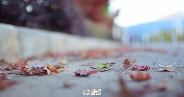 一个人特别思念另一个人,会对身体有什么危害 一个人特别思念另一个人,会对身体有什么危害 - 爱唱歌