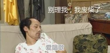 2016年度最火的流行语是什么?蓝瘦香菇?葛优瘫?老司机带带我 2016年度最火的流行语是什么?蓝瘦香菇?葛优瘫?老司机带带我 - 爱唱歌
