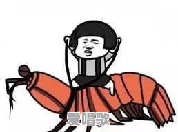 2016年度最火的流行语是什么?蓝瘦香菇?葛优瘫?老司机带带我 2016年度最火的流行语是什么?蓝瘦香菇?葛优瘫?老司机带带我 - 爱唱歌