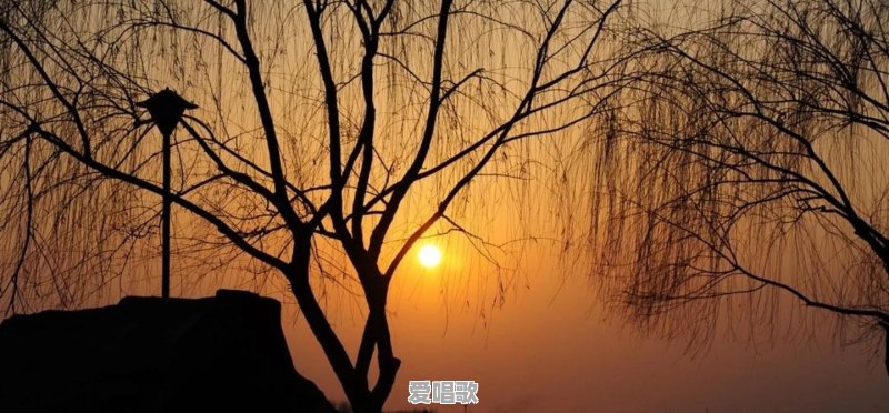 这些年有哪些最让你难忘的纯音乐 这些年有哪些最让你难忘的纯音乐 - 爱唱歌