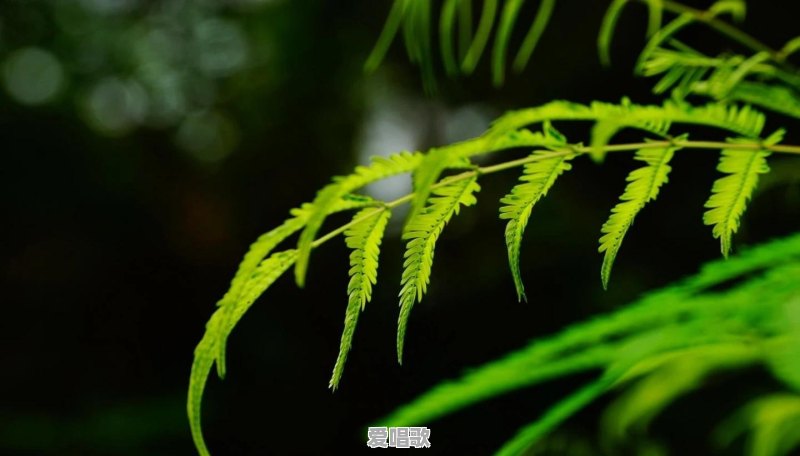 这些年有哪些最让你难忘的纯音乐 这些年有哪些最让你难忘的纯音乐 - 爱唱歌