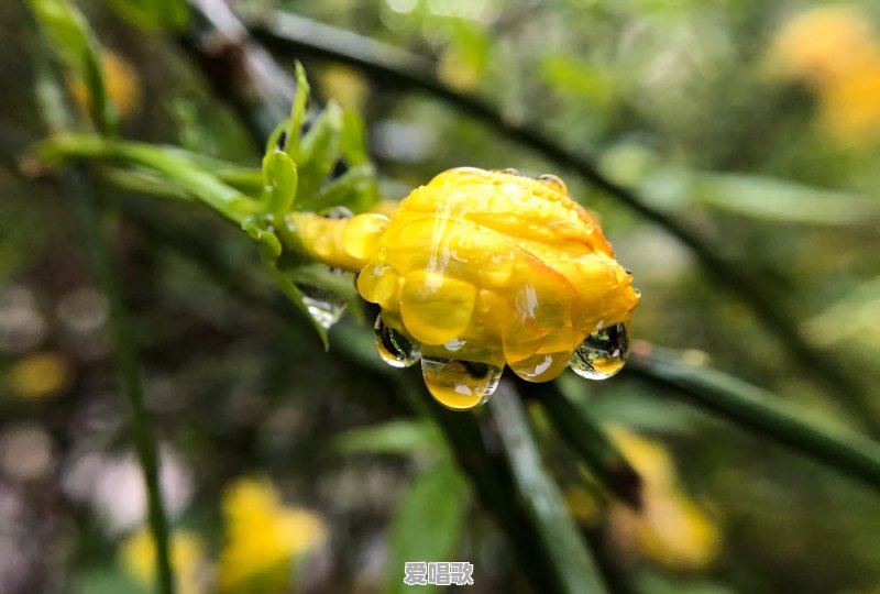 这些年有哪些最让你难忘的纯音乐 这些年有哪些最让你难忘的纯音乐 - 爱唱歌