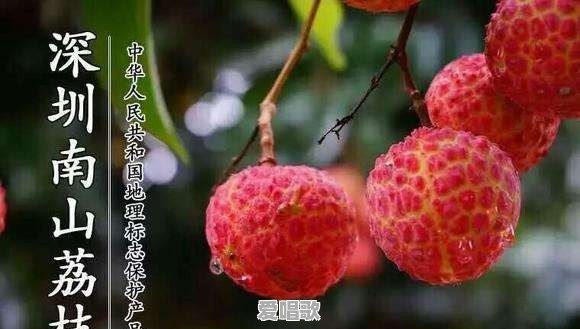 红中粤语歌曲 红中粤语歌曲 - 爱唱歌