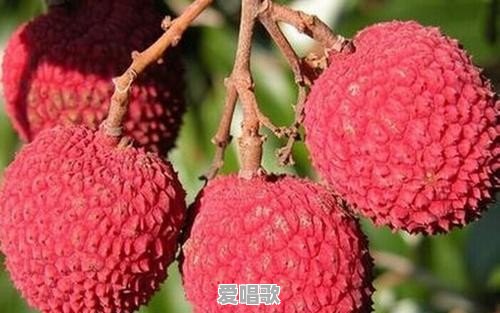 红中粤语歌曲 红中粤语歌曲 - 爱唱歌