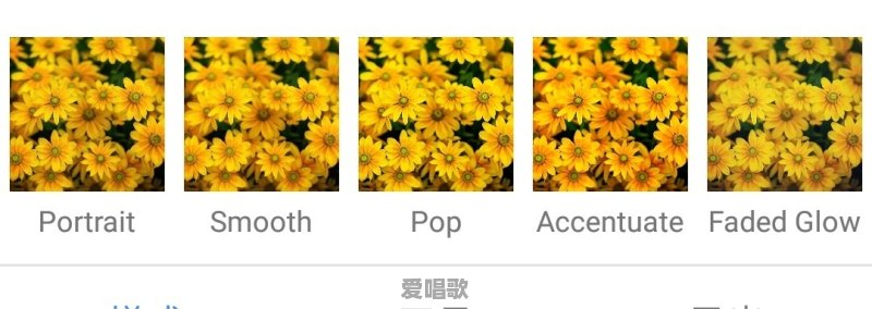 路边随处可见的小草花/小树花,怎么拍,效果更好 路边随处可见的小草花/小树花,怎么拍,效果更好 - 爱唱歌