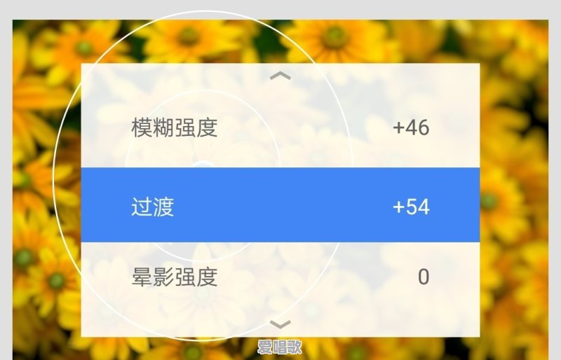 路边随处可见的小草花/小树花,怎么拍,效果更好 路边随处可见的小草花/小树花,怎么拍,效果更好 - 爱唱歌