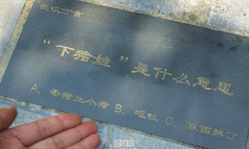 在你们家乡,“炫耀”用方言怎么说 在你们家乡,“炫耀”用方言怎么说 - 爱唱歌