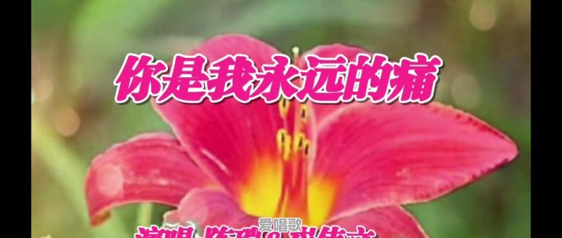 2018年你听过最好听的歌有哪些 2018年你听过最好听的歌有哪些 - 爱唱歌
