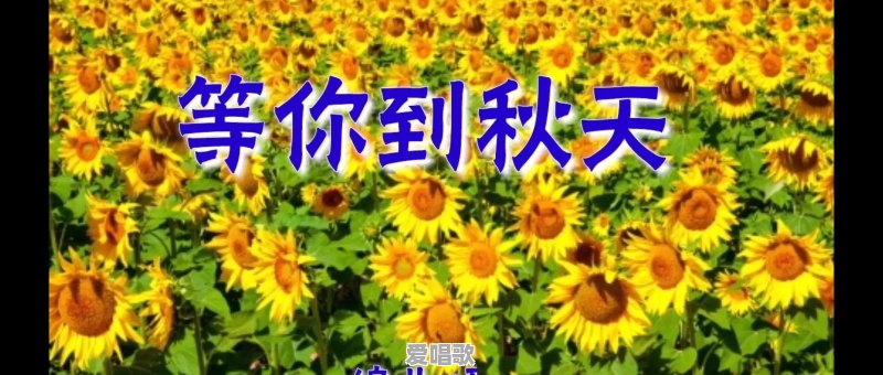 2018年你听过最好听的歌有哪些 2018年你听过最好听的歌有哪些 - 爱唱歌