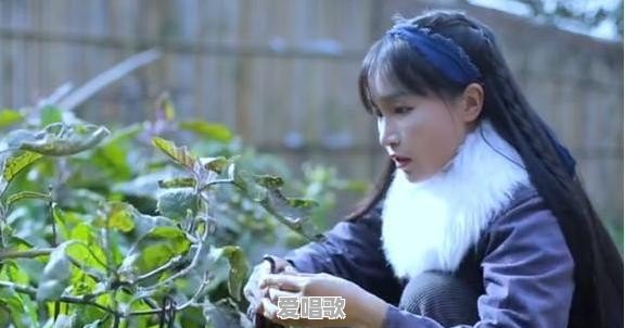 家庭听音乐,3千-4千预算马兰士和天逸功放哪个好 家庭听音乐,3千-4千预算马兰士和天逸功放哪个好 - 爱唱歌
