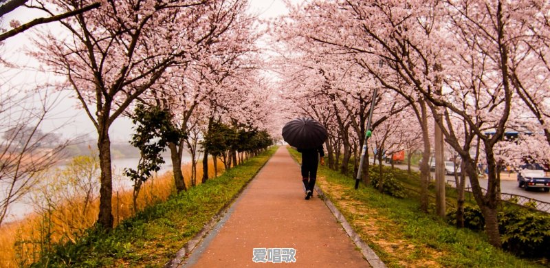 武汉有哪些古香古色的老街值得一去 武汉有哪些古香古色的老街值得一去 - 爱唱歌