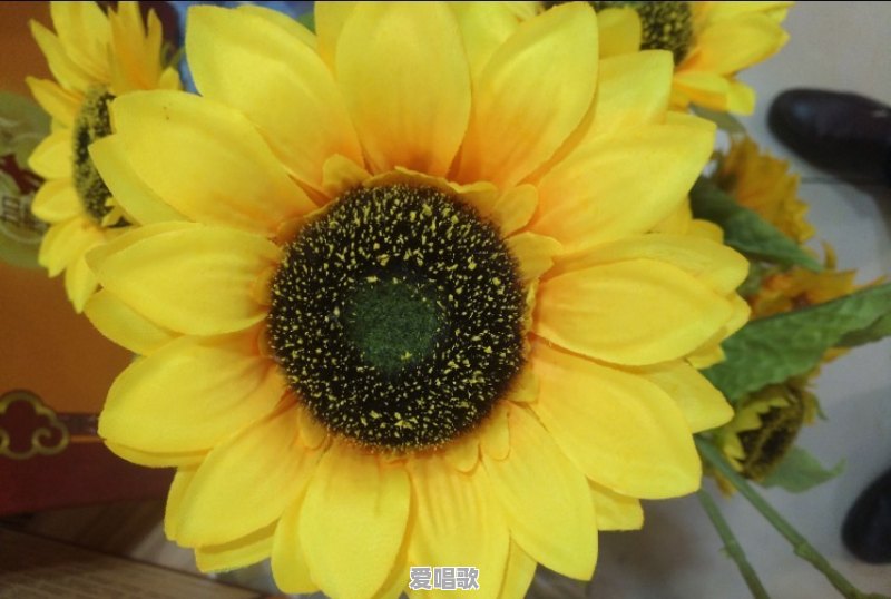 现在年轻人喜欢听什么歌，有哪些值得推荐 - 爱唱歌