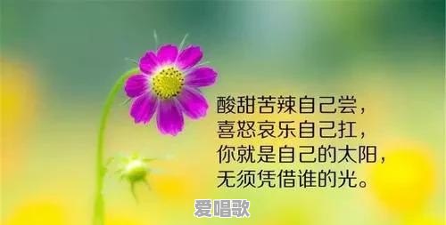 用成年人的方式,如果心情很不好或者工作受委屈都怎样排解 用成年人的方式,如果心情很不好或者工作受委屈都怎样排解 - 爱唱歌