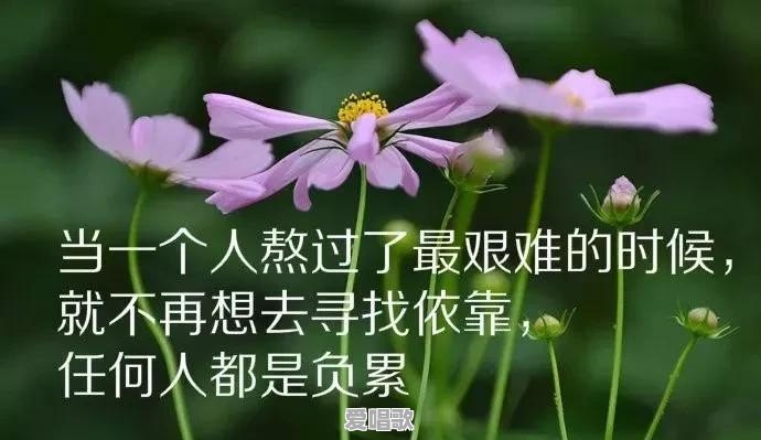 用成年人的方式,如果心情很不好或者工作受委屈都怎样排解 用成年人的方式,如果心情很不好或者工作受委屈都怎样排解 - 爱唱歌