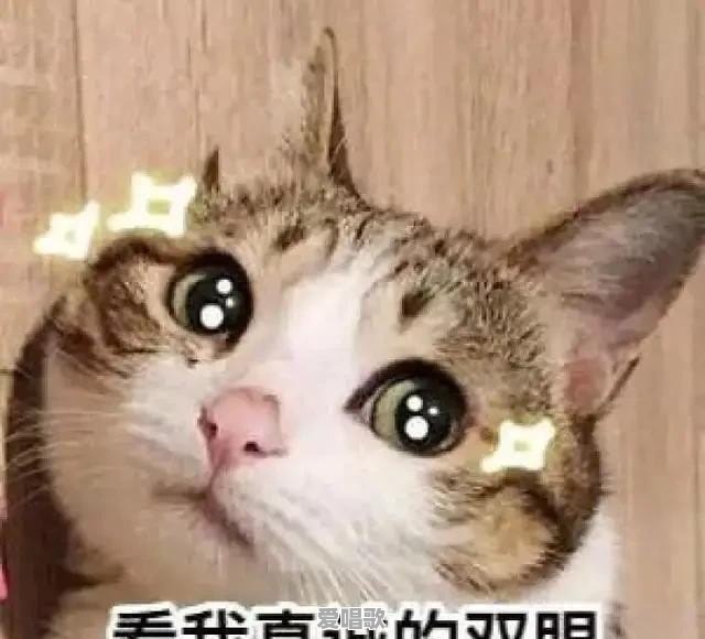 93年版流行歌曲谱子 93年版流行歌曲谱子 - 爱唱歌